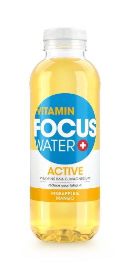 FOCUSWATER Active Ananas 4x6x0.5L PET EW
