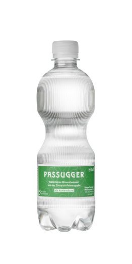 Passugger Theophil 24x0.5L PET EW