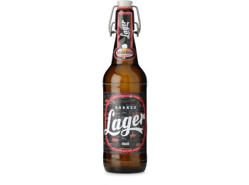 Felsenau Bärner Lager 20x0.5L Glas MW