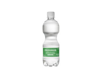 Passugger Theophil 24x0.5L PET EW